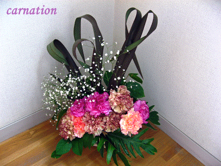 f0120483_21143065.gif