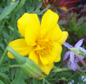 d0071596_15433434.jpg