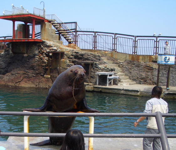 小樽1泊旅行（小樽水族館）_d0050007_191506.jpg