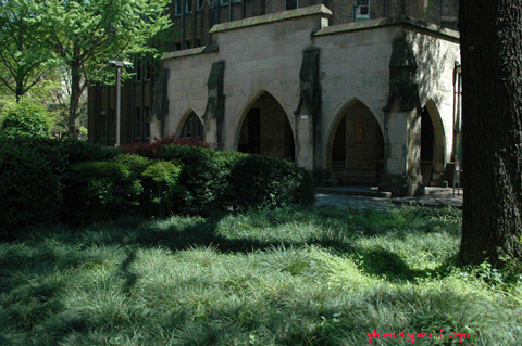 a0094711_0351240.gif