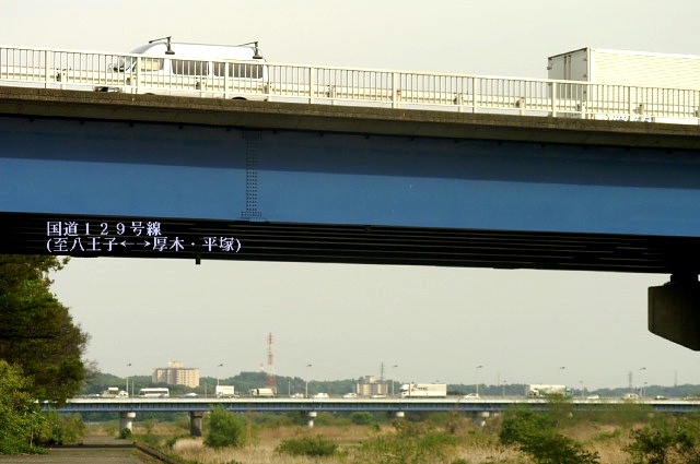 ２つの橋(相模川)／野草の生い茂る風景_b0033423_6261786.jpg