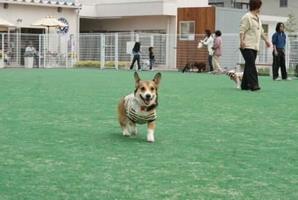 e0071225_835842.jpg