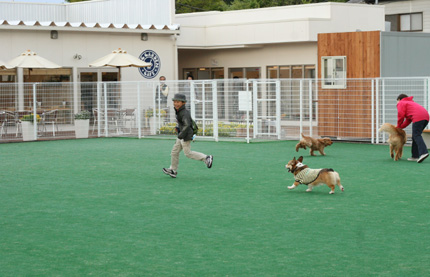 e0071225_8451583.jpg
