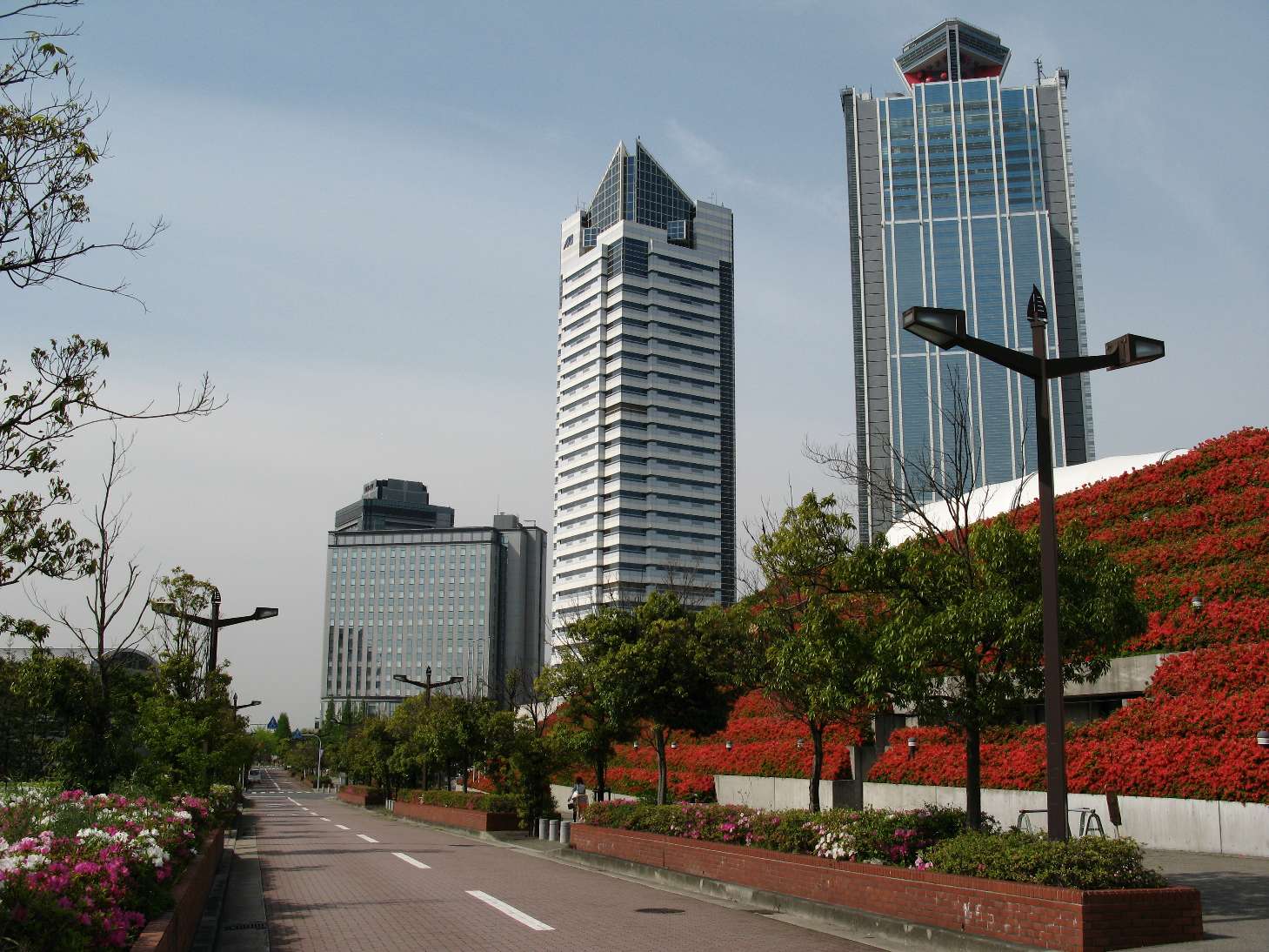 b0069128_1054722.jpg