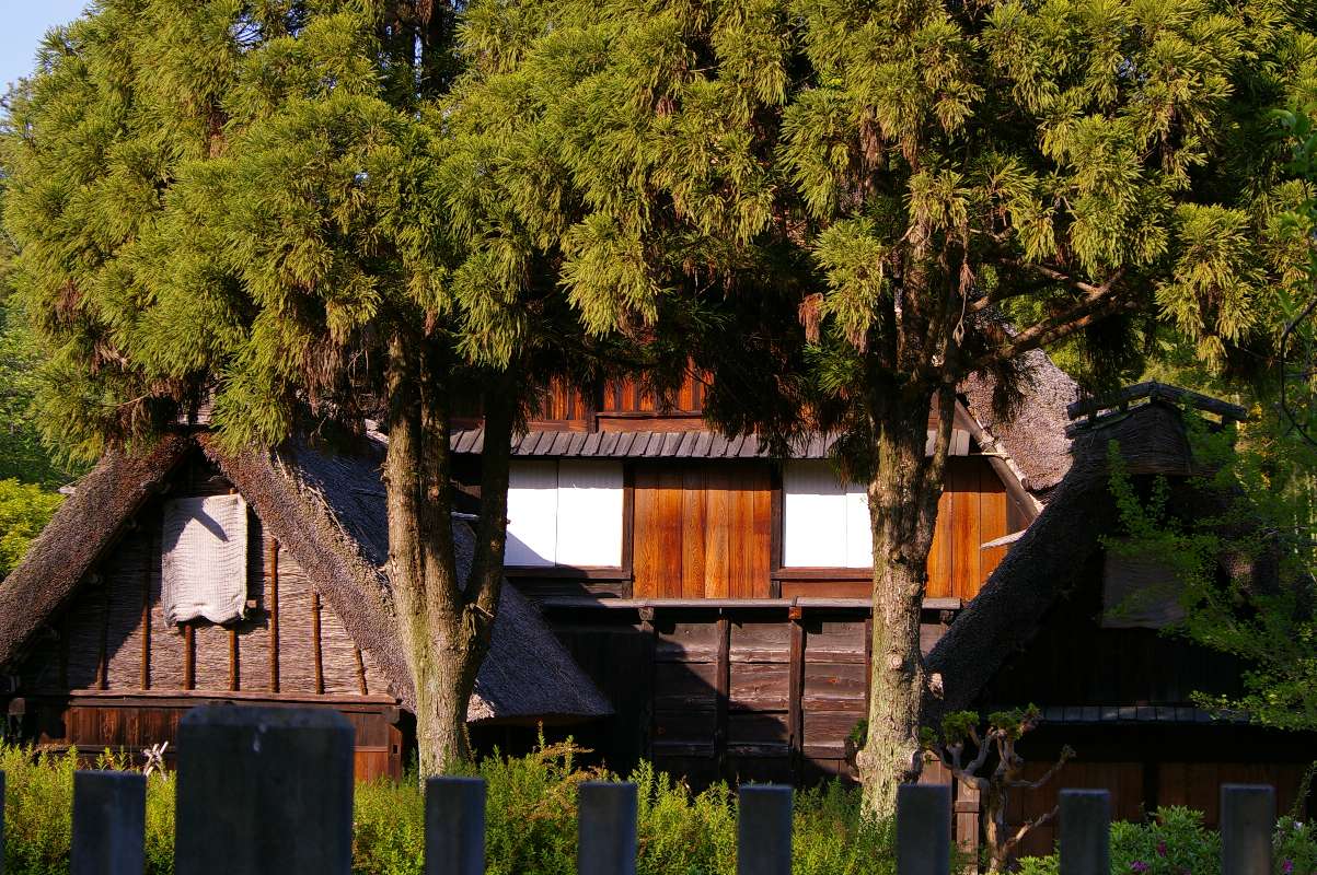 b0069128_11343484.jpg
