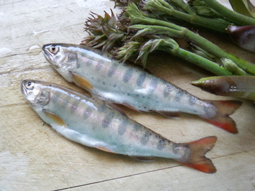 f0045433_0303247.jpg