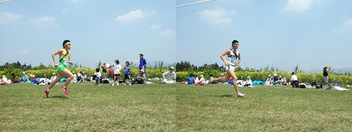 c0070439_094230.jpg