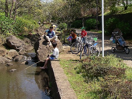 家族でじっくりたのしむ休日_a0056654_22571364.jpg