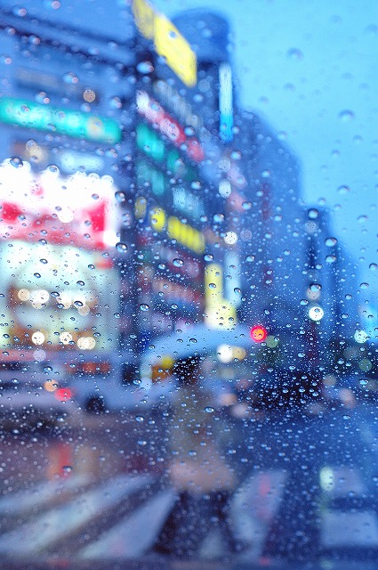 「五月の雨」５月２日今日のショット_d0019260_2152487.jpg