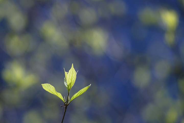 300ｍｍ/ｆ4その2_e0019563_2332885.jpg