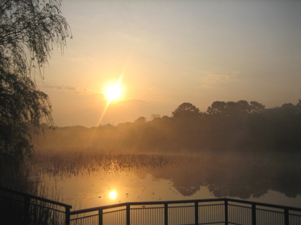 f0135575_11485260.jpg