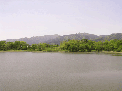 b0001678_5373874.gif