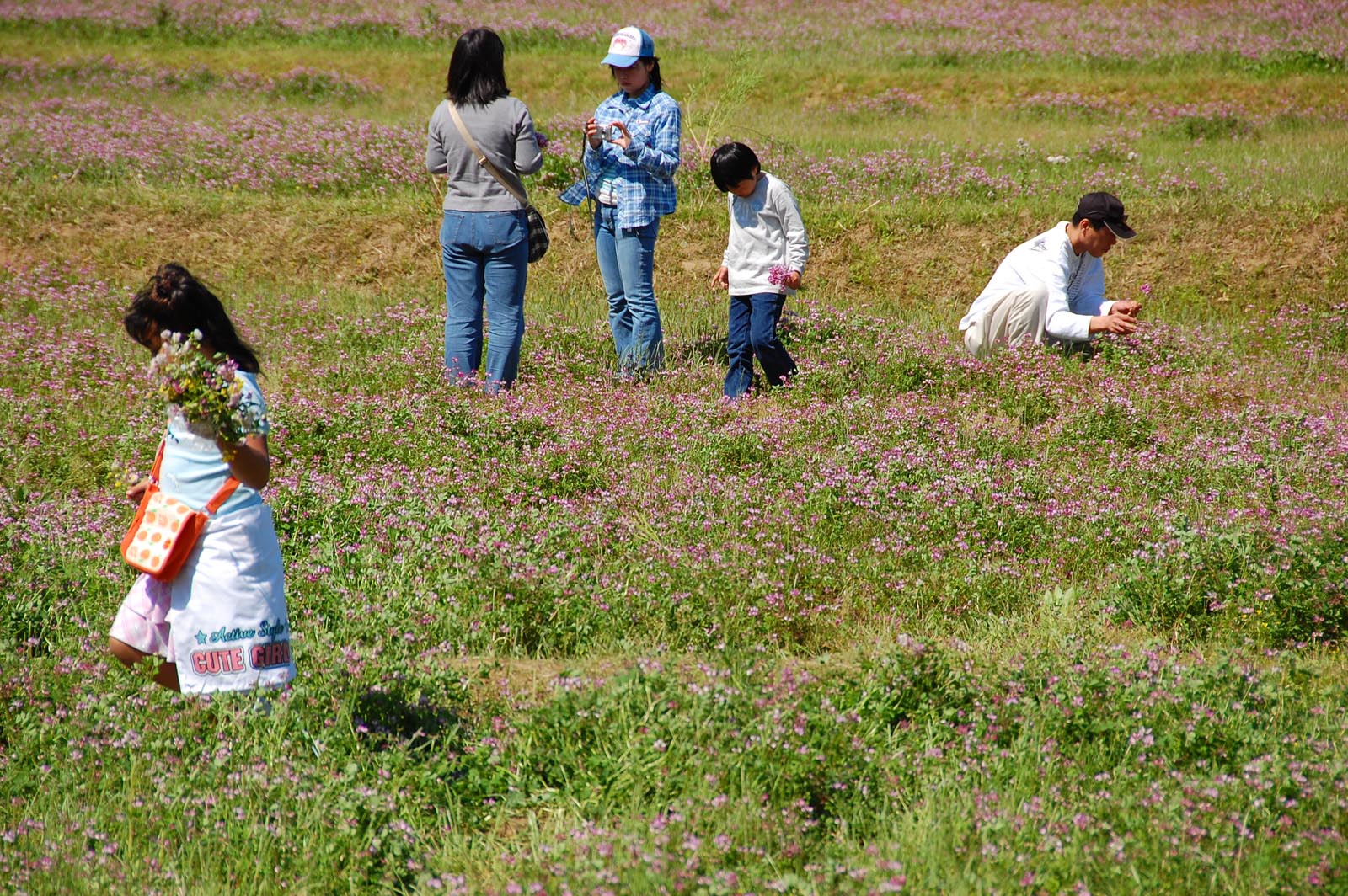 千葉県大多喜町・世界レンゲまつり_e0071178_5352777.jpg