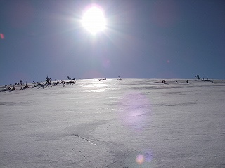 ステップソールで薬師岳＆太郎山西尾根から真川源流_e0064783_22594053.jpg