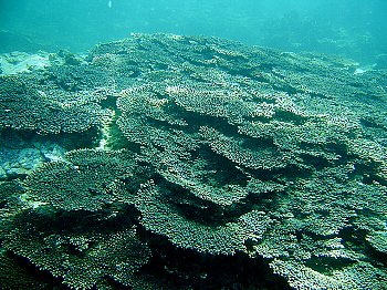 f0079996_12203719.jpg