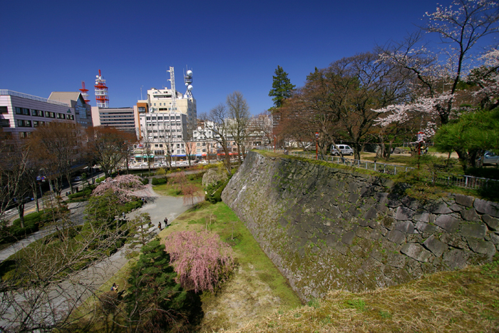 盛岡さくら三昧【14】　岩手公園（盛岡城跡公園）_b0072697_227518.jpg