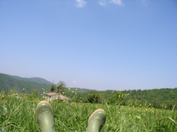 のんびり、ゆっくり_f0106597_1838880.jpg