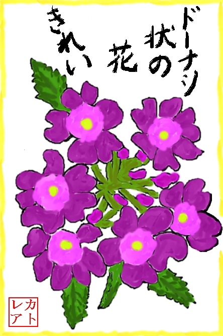 絵手紙・・・花・・・バーベラ・・・ビジョザクラ（美女桜）・・・クマツヅラ科_f0124098_16431085.jpg