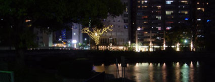 e0013300_116675.jpg