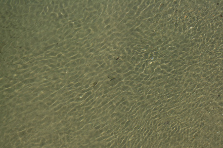a0024504_21125170.jpg