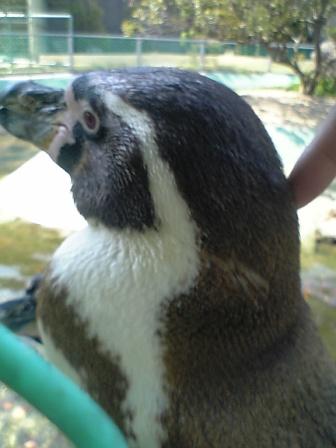 d0047107_22445459.jpg
