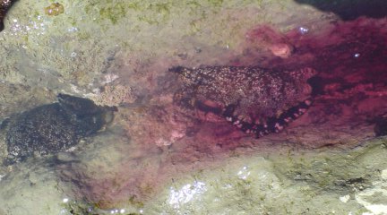 b0087914_16224100.jpg