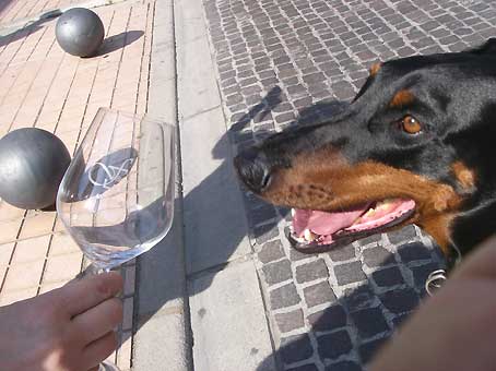 3ユーロで飲み放題?_d0062721_0414370.jpg
