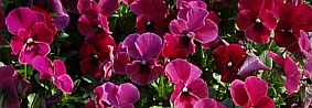 e0108126_23363247.jpg