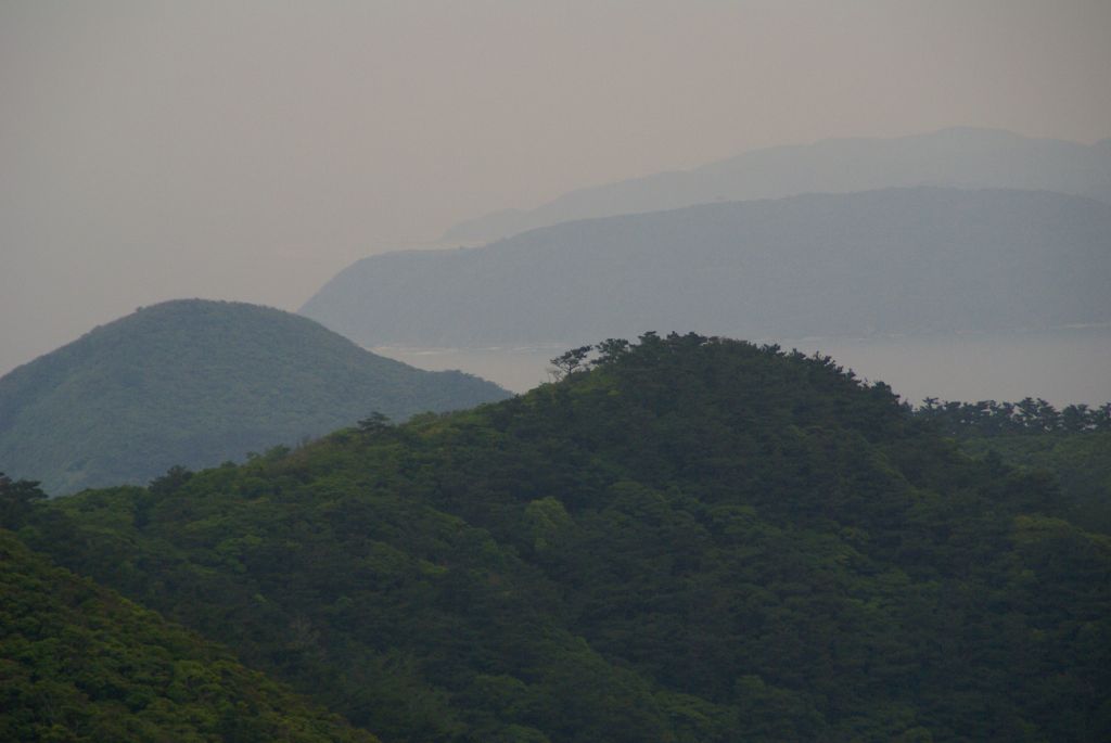 d0053930_63372.jpg