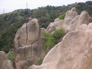 c0029332_21112099.jpg
