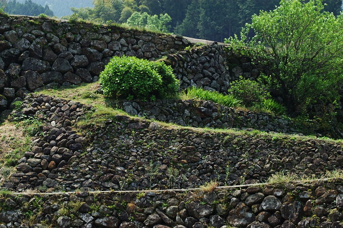 e0056449_2346368.jpg