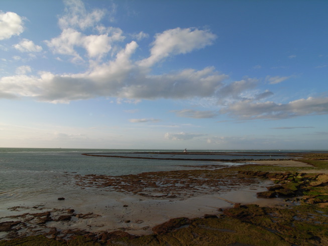 e0100152_6242690.jpg