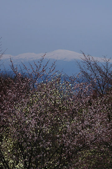 連休は高原へ。_e0084756_022194.jpg