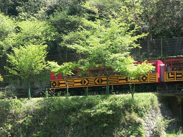 b0044663_16442924.jpg