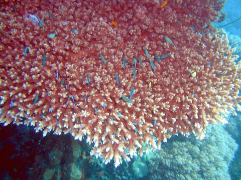 d0056263_10363584.jpg