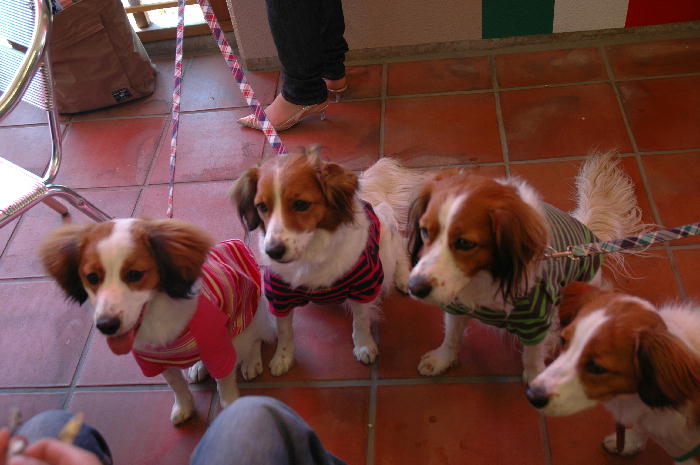 c0075585_1131785.jpg