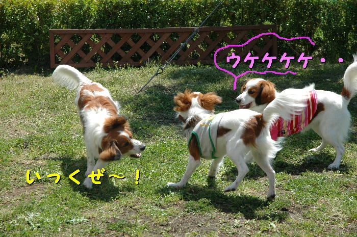 c0075585_16516.jpg
