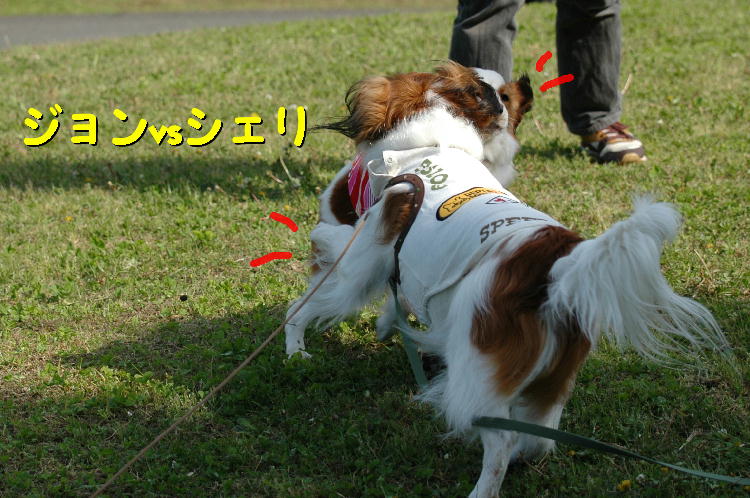 c0075585_21584186.jpg