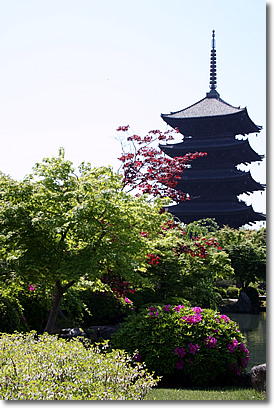 *　京都の世界遺産 (東寺)　*_e0010185_0463388.jpg