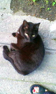 e0035992_17562580.jpg