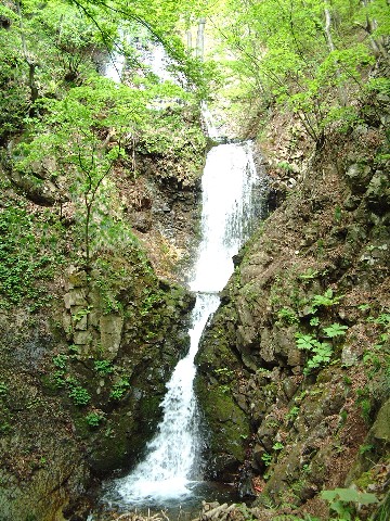 d0085096_1730162.jpg