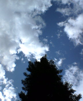 b0054498_142568.jpg
