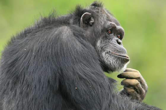 マンダム_b0016600_2220498.jpg