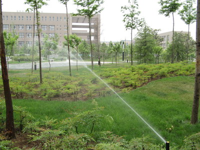 d0114408_0144895.jpg