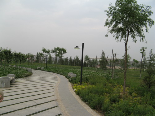 d0114408_0442652.jpg