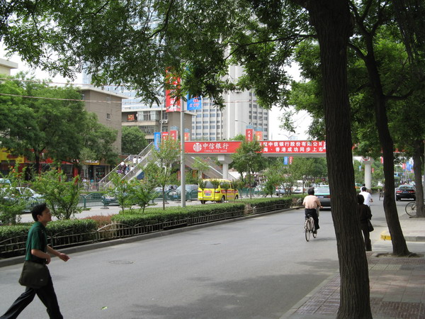 d0114408_2312055.jpg