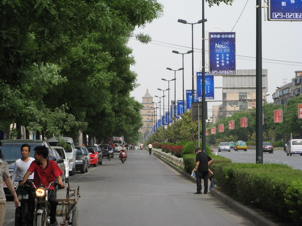 d0114408_2322124.jpg
