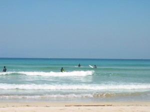 夏が来る前の白浜の海とサーファー_b0085813_1495982.jpg