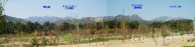 雪嶽山 ソラクサン Blowin In The Wind 雪嶽山 ソラクサン Blowin In The Wind