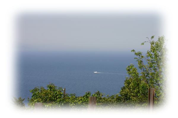 f0109418_22070.jpg